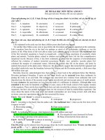 ĐỀ THI ĐẠI HỌC MÔN TIẾNG ANH SỐ 3 pps