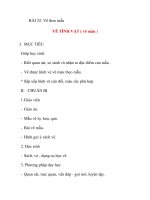 Giáo án lớp 5 môn Mỹ Thuật: BÀI 32: Vẽ theo mẫu VẼ TĨNH VẬT ( vẽ màu ) potx