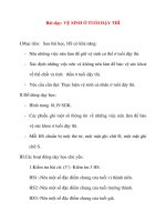 Giáo án lớp 5 môn Khoa Học: Bài dạy: VỆ SINH Ở TUỔI DẬY THÌ pot