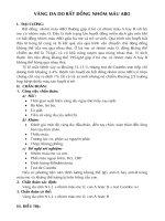 Vàng da do bất đồng nhóm máu Abo potx