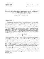 Báo cáo toán học: 