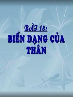 Sự biến dạng của thân