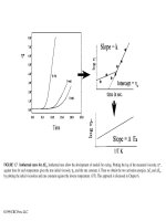 Dynamic Mechanical Analysis part 2 ppt