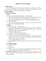 Viêm tụy cắt ngang ppt