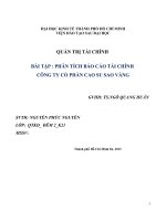 PHÂN TÍCH BÁO CÁO TÀI CHÍNH  CÔNG TY CỔ PHẦN CAO SU SAO VÀNG