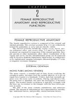 FEMALE REPRODUCTIVE ANATOMY AND REPRODUCTIVE FUNCTION doc