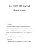 ĐẠI CƯƠNG ĐỘT QỤY NÃO (General of stroke) pot