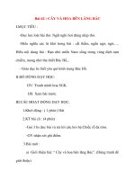 Giáo án lớp 2 môn Tập Đọc: Bài 62 : CÂY VÀ HOA BÊN LĂNG BÁC doc