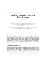 In Vitro Fertilization: The First Three Decades pdf