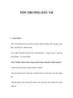 TỔN THƯƠNG DÂY VIII docx