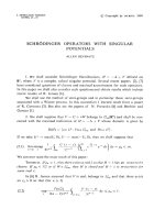 Báo cáo toán học: 