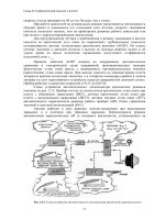 Thiết kế kỹ thuật máy bay cánh quạt Part 3 potx