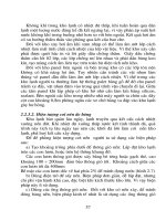 Giáo trình phân tích khả năng vận dụng chu trình cổ điển troang tải dao động p9 pdf