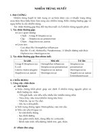 Nhiễm trùng huyết ppsx