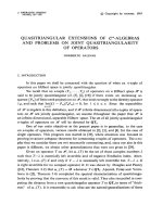 Báo cáo toán học: 