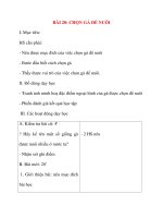 Giáo án lớp 5 môn Kỹ Thuật: BÀI 20: CHỌN GÀ ĐỂ NUÔI pps