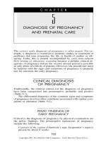 DIAGNOSIS OF PREGNANCY AND PRENATAL CARE potx