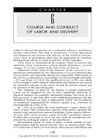 COURSE AND CONDUCT OF LABOR AND DELIVERY ppt
