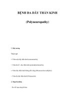 BỆNH ĐA DÂY THẦN KINH (Polyneuropathy) docx