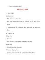 Giáo án lớp 5 môn Mỹ Thuật: BÀI 21: Tập nặn tạo dáng ĐỀ TÀI TỰ CHỌN pps