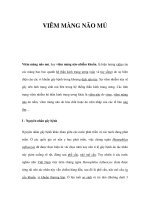 VIÊM MÀNG NÃO MỦ potx