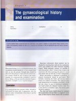 The gynaecological history and examination pdf