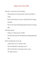 Giáo án lớp 5 môn Khoa Học: Bài dạy: SẮT, GANG, THÉP pdf