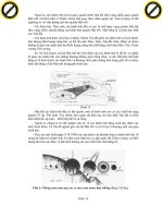 Giáo trình phân tích khả năng nghiên cứu những phương pháp dịch chuyển chủ yếu của thiên thạch p6 pps