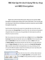 Mã hóa tập tin dưới dạng file tự chạy với MEO Encryption pot