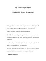 Ngộ độc thuốc gây nghiện ( Nhóm OPI, Heroin và morphin ) doc