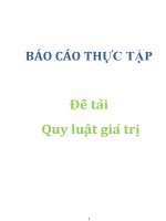 Đề tài: Quy luật giá trị pdf