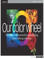 bảng màu và cơ bản về màu sắc potx