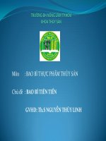 Tiểu luận BAO bì TIÊN TIẾN