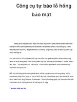 Công cụ tự báo lỗ hổng bảo mật pdf