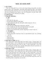 Tràn mủ màng phổi pot