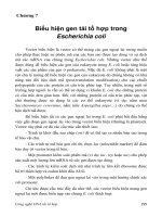 Giáo trình CÔNG NGHỆ DNA TÁI TỔ HỢP - Chương 7 pptx