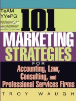 101 Marketing Strategies Phần 1 pot