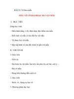 Giáo án lớp 5 môn Mỹ Thuật: BÀI 24: Vẽ theo mẫu MẪU VẼ CÓ HAI HOẶC BA VẬT MẪU pps