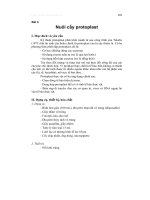 Thí nghiệm nuôi cấy mô và tế bào thực vật - Bài 6 pot