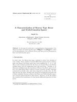 Báo cáo toán học: 