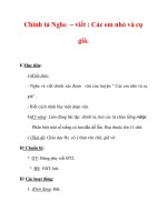 Giáo án Tiếng Việt lớp 3 : Tên bài dạy : Chính tả Nghe – viết : Các em nhỏ và cụ già. pps