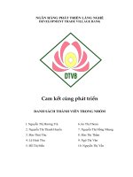 Đề tài: NGÂN HÀNG PHÁT TRIỂN LÀNG NGHỀ pptx