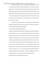 Tiên phong trong việc không giới hạn đối tượng cho vay đối với các hình thức tín dụng có kì hạn tại Agribank - 3 pptx