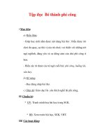 Giáo án Tiếng Việt lớp 3 : Tên bài dạy : Tập đọc Bé thành phi công pptx