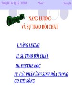 Chương 2: NĂNG LƯỢNG VÀ SỰ TRAO ĐỔI CHẤT ppt