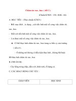 Giáo án môn Kỹ Thuật: Chăm sóc rau , hoa ( tiết 2 ) docx