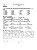 FIFTEEN MINUTES TEST pdf
