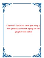 Luận văn: Áp đặt của chính phủ trong se chia lợi nhuận cac doanh nghiệp lớn vào quỹ phát triển xã hội pdf