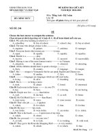 ĐỀ KIỂM TRA GIỮA KÌ I NĂM HỌC 2010-2011 Môn: Tiếng Anh - MÃ ĐỀ: 246 pdf