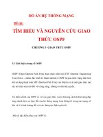 HỆ THỐNG MẠNG - TÌM HIỂU VÀ NGUYÊN CỨU GIAO THỨC OSPF CHƯƠNG 3_1 pot